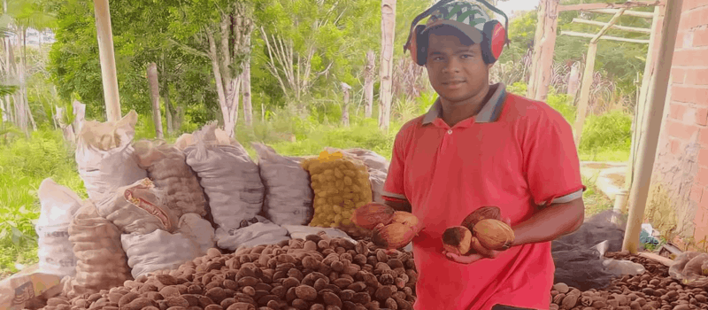 Coopafbasul produz coco de piaçava para a Binatural