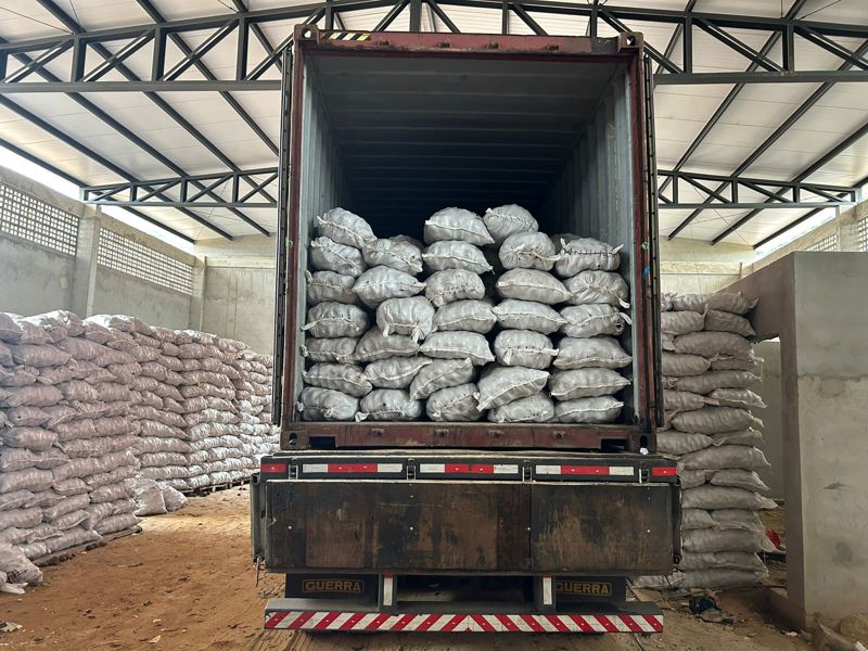 Exportação de coco de piaçava da Coopafbasul para o Egito