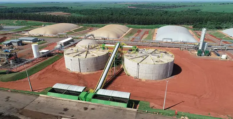 Unidade Narandiba Cocal